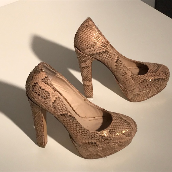 Steve Madden Shoes - Steve Madden BEASST-S Leather Snakeskin Print